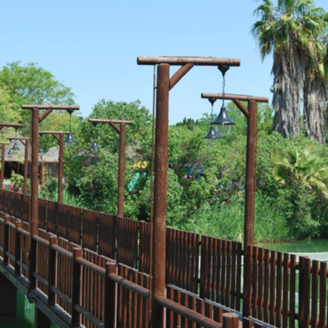 IMAGEN DESTACADA (78)