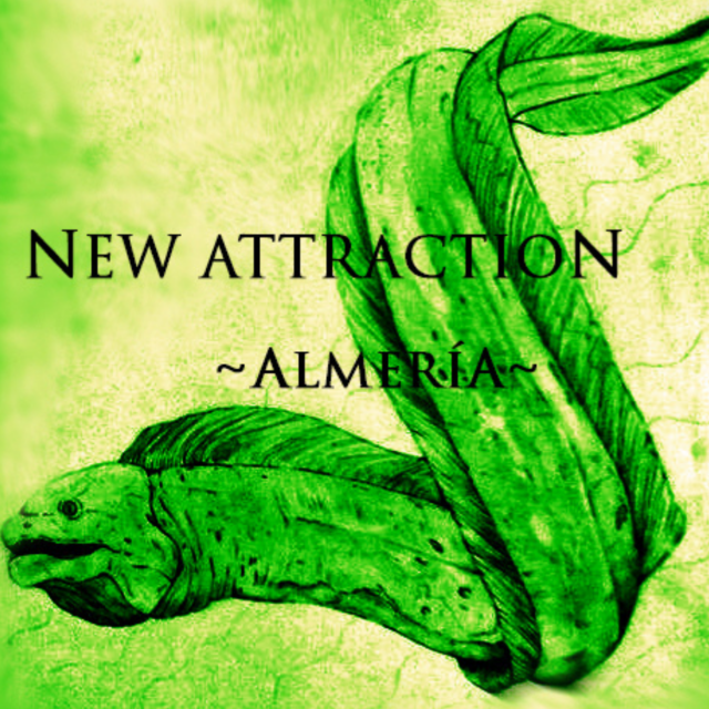 IMAGEN DESTACADA (94)