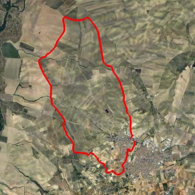 albaida